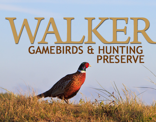 Walker Game Birds And Hunting Preserve Field Hunts